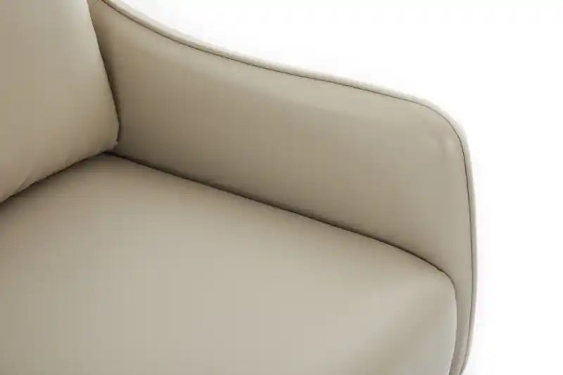 34.6 Fauteuil d'appoint en similicuir avec pieds en métal